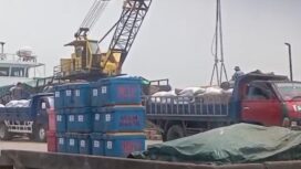 Pergerakan 2.712  Sak beras berbagai merek yang akan diberangkatkan dari Kota Tanjungpinang menuju Kabupaten Sambas, Kalimantan Barat, menggunakan KM Kalimas Utama pada Sabtu (5/9/2026), menjadi sorotan. Foto: Suaib 